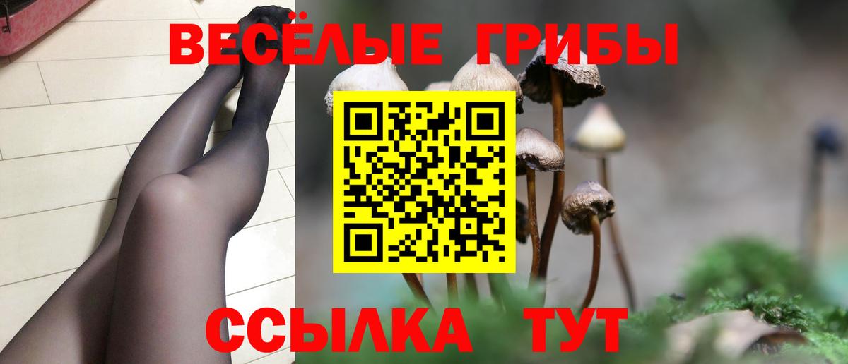 Галлюциногенные грибы Magic Shrooms Ивантеевка